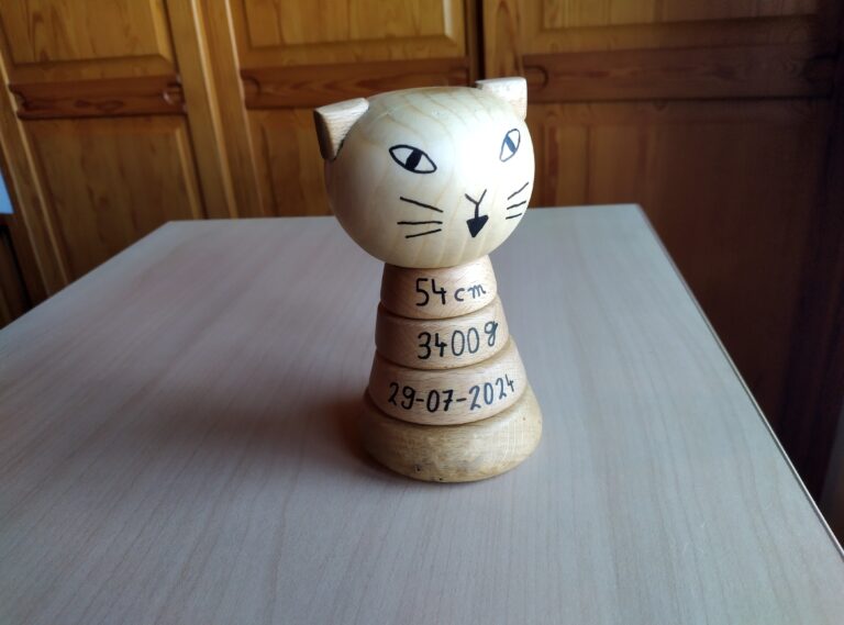 Birth souvenir baby toy