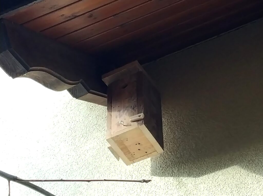 Eoncrafts: Another narrow front bird house